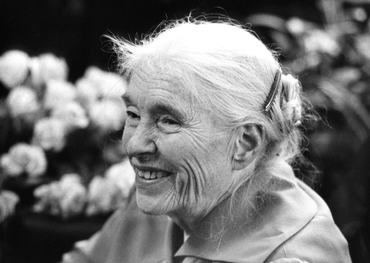 Anna Seghers Eine große Literatin: Anna Seghers. (Archivbild)