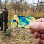 Köder statt Spritze: Wie Wildschweine geimpft werden könnten Die Köder enthalten noch keinen Impfstoff.