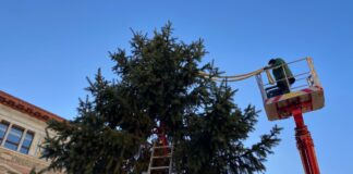 Der Baum wurde am Samstagmorgen abtransportiert.