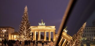 Eine «Gemeine Fichte» aus Sömmerda wird in diesem Jahr den Pariser Platz in Berlin schmücken. (Archivbild)