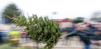 Lausitzer werfen Weihnachtsbäume – und zwar weit Vor knapp einem Jahr lag der weiteste Wurf bei 8,80 Meter. (Archivbild)