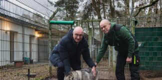 Woidke würdigt Einsatz im Tierheim und bei Feuerwehr Brandenburgs Ministerpräsident Dietmar Woidke (l) besucht vor dem Weihnachtsfest das Tierheim Potsdam.