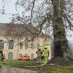 Polizei ermittelt nach Brand an historischem Baum Feuerwehrleute löschten den denkmalgeschützten Baum im Schlosspark Schönhausen. (Handout)