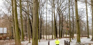 Glatteis und Schnee in Berlin und Brandenburg Zum Jahreswechsel könnte es in Berlin und Brandenburg schneien. (Symbolbild)