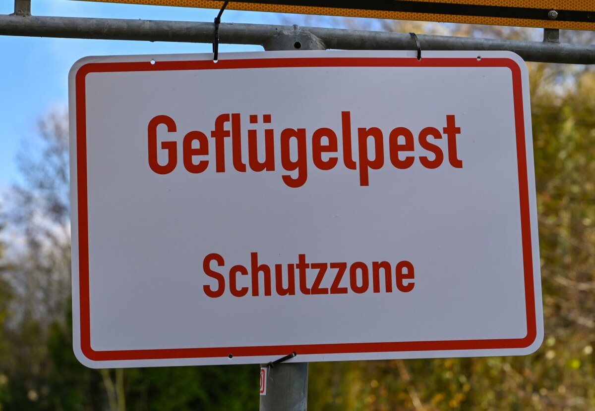 Schild «Geflügelpest» Nach einem erneuten Geflügelpest-Ausbruch sind die Schutzvorkehrungen im Landkreis Potsdam-Mittelmark erhöht worden. (Archivbild)