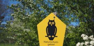 Naturschutz-Eule 75 Jahre alt – Sonderausstellung in Potsdam Von Naturschutzpionieren aus Bad Freienwalde entwickelt: Die bekannte Naturschutz-Eule.