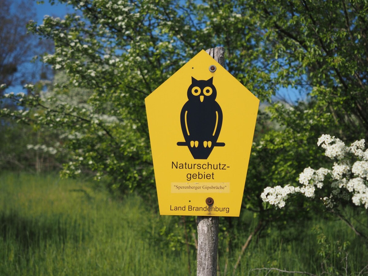 Naturschutz-Eule Von Naturschutzpionieren aus Bad Freienwalde entwickelt: Die bekannte Naturschutz-Eule.