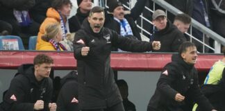 Ungewohnter Personal-Luxus: Leitl will Pokal-Bestmarke Trainer Stefan Leitl will mit der Hertha auf Erfolgskurs bleiben.