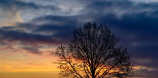 Sonne und Regen in Berlin und Brandenburg Die Temperaturen erreichen den Tag über laut DWD bis zu elf Grad. (Symbolbild)