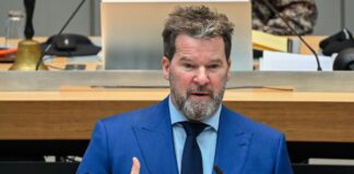 CDU und SPD legen Entwurf für Vergesellschaftungsrahmen vor «Das Gesetz ermöglicht keine Enteignungen», sagte der CDU-Fraktionsvorsitzender, Dirk Stettner. (Archivbild)