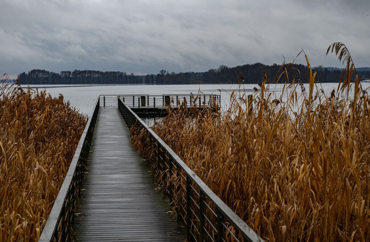 Trübes Winterwetter am Scharmützelsee Grauer Himmel und Nebel bestimmen am Wochenende vielerorts das Wetter in Berlin und Brandenburg, bevor es in der neuen Woche freundlicher wird. (Archivbild)