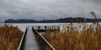 Wolken und Regen statt Schnee in Berlin und Brandenburg Die Temperaturen bleiben in der Region über dem Gefrierpunkt. (Archivbild)