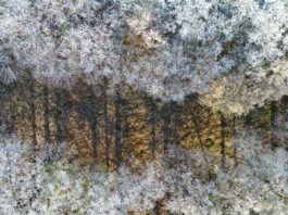 Zum Jahreswechsel wird es frostig und auch Schnee ist möglich. (Symbolbild)