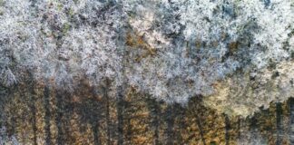 So winterlich wird Silvester in Berlin und Brandenburg Zum Jahreswechsel wird es frostig und auch Schnee ist möglich. (Symbolbild)