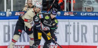 Auf und ab geht weiter: Eisbären suchen die Konstanz Angreifer Matej Leden von den Eisbären Berlin erzielte bei der knappen Heimniederlage gegen die Kölner Haie sein erstes DEL-Tor. (Archivbild)