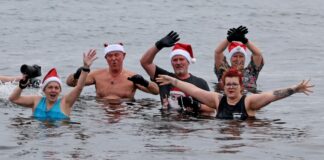 «Das Kribbeln danach» – Schwimmer stürzen sich in kalten See Zu Weihnachten wird im Senftenberger See gebadet.