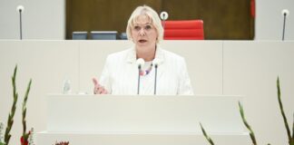 Landtagspräsidentin wirbt für Bußgeld bei Ordnungsrufen Brandenburgs Landtagspräsidentin Ulrike Liedtke fordert ein Ordnungsgeld für provokative Äußerungen im Parlament.(Archivbild)