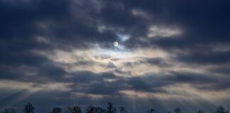 Trübes Wochenende in Berlin und Brandenburg erwartet Graue Wolken, Nebel und milde Temperaturen prägen den vierten Advent in Berlin und Brandenburg. (Archivbild)