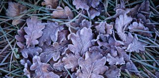 In Berlin und Brandenburg ist mit Frost und Glätte zu rechnen. (Symbolbild)