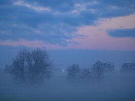 Die Meteorologen kündigen Nebel und Wolken am Montag an. (Symbolbild)