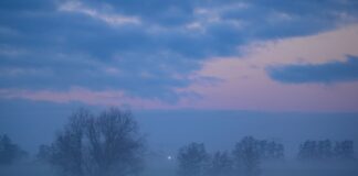 Regnerisches Nikolauswochenende Nebel hüllt Berlin und Brandenburg am Morgen des Nikolaustages ein. (Symbolbild)