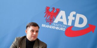 Hohm sieht die neue AfD-Jugendorganisation nicht als rechtsextrem oder rechtsradikal an. (Archivbild)