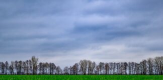 Milde Temperaturen in Berlin und Brandenburg Viele Wolken ziehen in den kommenden Tagen über Berlin und Brandenburg. (Symbolbild)