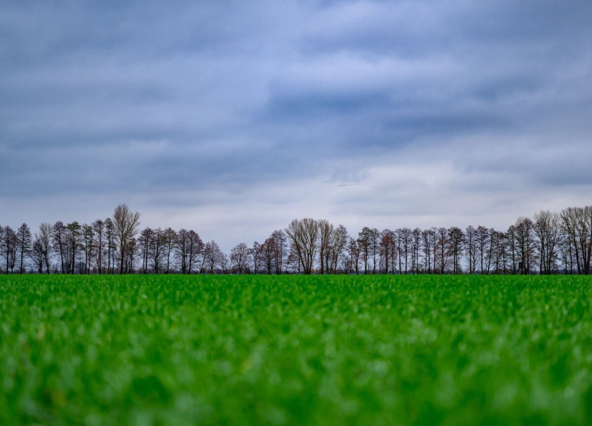 Wetter Viele Wolken ziehen in den kommenden Tagen über Berlin und Brandenburg. (Symbolbild)