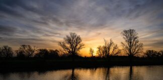 Grauer Start und sonniger Abschluss Die Sonne geht über Brandenburg auf, und die nächtliche Wolkendecke lockert auf. (Archivbild)