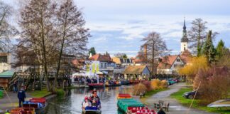 Zum Start in den Dezember soll es milde Temperaturen in Berlin und Brandenburg geben. (Archivbild)