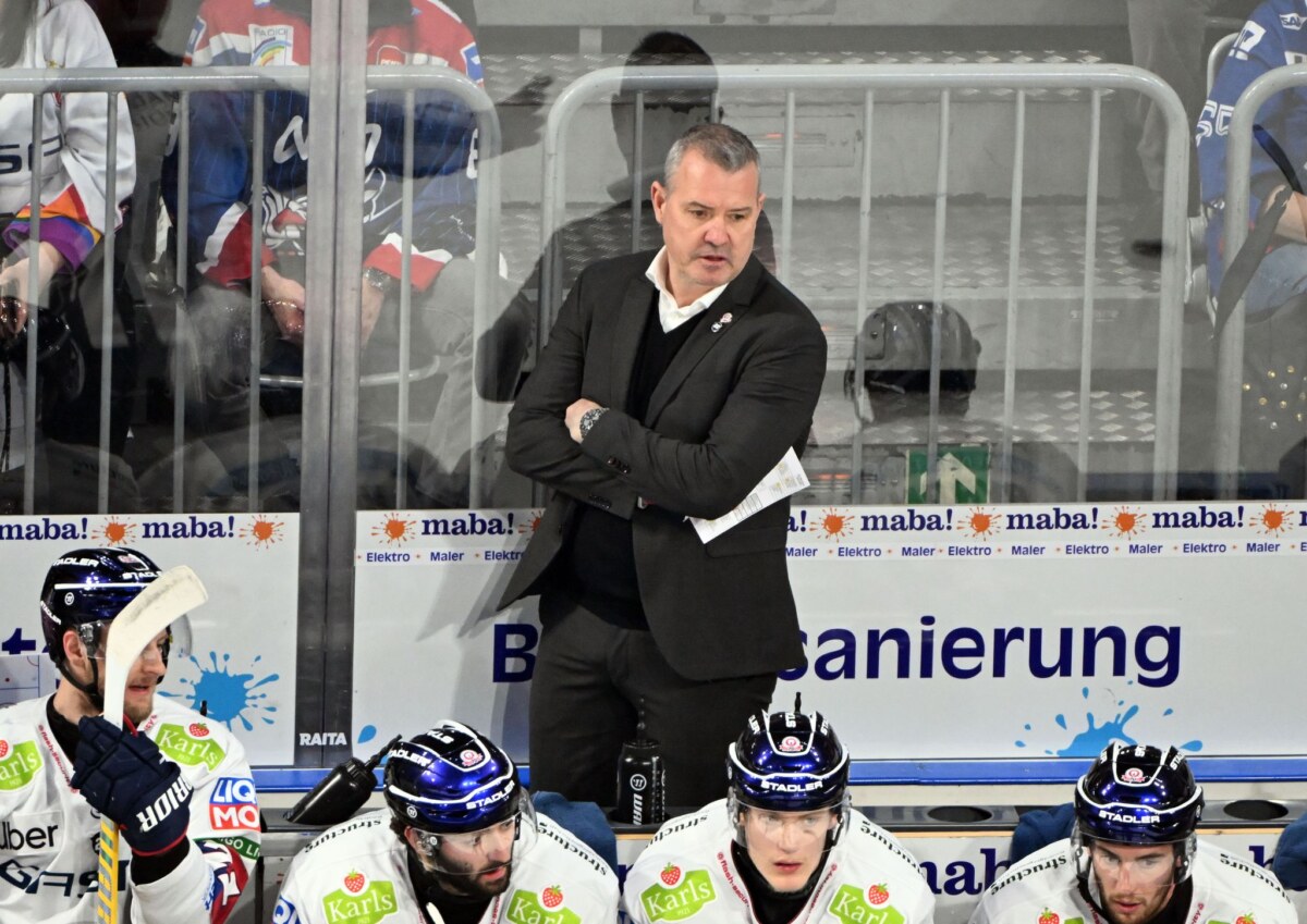 Adler Mannheim - Eisbären Berlin Trainer Serge Aubin muss mit den Eisbären Berlin eine Niederlage in Straubing hinnehmen. (Archivbild)