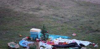 Angriff in Sydney: Jüdische Gemeinde bekundet Solidarität Bei einem Terrorangriff am Bondi Beach in Sydney starben mindestens zwölf Menschen.