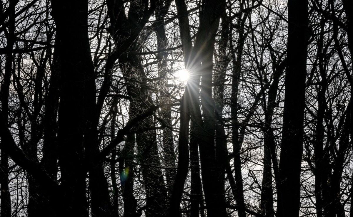Wintersonne in Potsdam In Berlin und Brandenburg bleibt das Wetter mild.