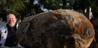 In Oranienburg liegen noch etliche Blindgänger unter der Erde. (Archivbild)