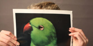 Die Welt mit anderen Augen sehen kann man auch im C/O Berlin. Bild: C/O Berlin Foundation