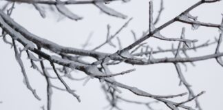 Minus 12 Grad in Coschen: Bundesweit niedrigste Messung Besonders kalt war es in der vergangenen Nacht in Coschen. (Symbolbild)