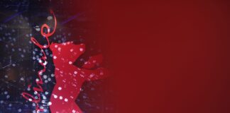 Queeres Kino: Berlinale feiert 40. Teddy Award Die Berlinale feiert in diesem Jahr Jubiläum des Teddy Award.