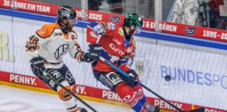 Eisbären im Verletzungspech: Saisonaus für Byron Blaine Byron (r.) hat sich eine schwere Muskelverletzung zugezogen. (Archivbild)
