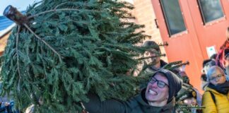 Lausitzer schleudern den Weihnachtsbaum um die Wette Die Weihnachtsbäume werden in Cottbus möglichst weit geworfen.