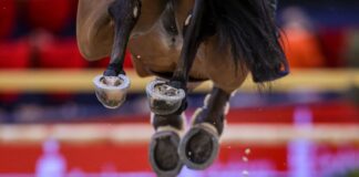 Fehlerfrei und schnell: Springreiterin Wascher siegt klar In Neustadt (Dosse) findet ein Reitturnier statt. (Archivbild)