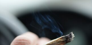 Illegale Geschäfte bei Verkehrskontrolle aufgedeckt Bei einer Verkehrskontrolle in Berlin entdeckte die Polizei mehr als 240 Tütchen mit mutmaßlichem Cannabis. (Symbolbild)