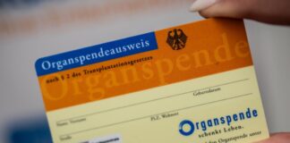 Weniger Organspender in Berlin – mehr in Brandenburg Ein Organspende-Ausweis dokumentiert die Entscheidung. (Symbolbild)