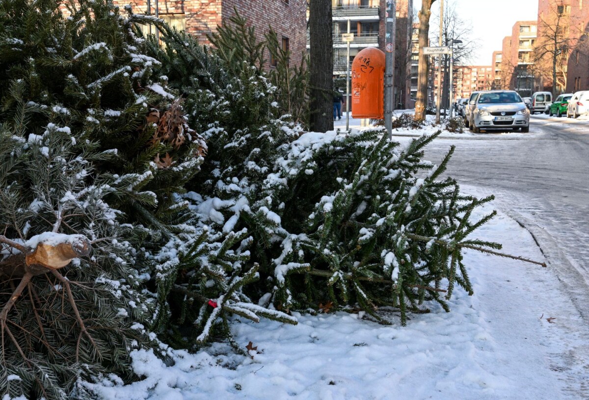 Entsorgte Weihnachtsbäume Manche Bäume liegen schon ausrangiert am Straßenrand.