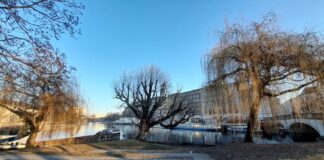 Berliner Erkundung: Vom Märkischen Ufer zum Rolandufer Die Spitze der Fischerinsel mit Blick auf den Historischen Hafen. Bild: Martin Schwarz