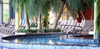 Nach Pöbeleien: Therme setzt auf Geschlechter-Balance In der Havel-Therme in Werder hat es nach Angaben von Geschäftsführer Andreas Schauer Probleme mit gewaltbereiten Männergruppen gegeben. (Archivfoto)