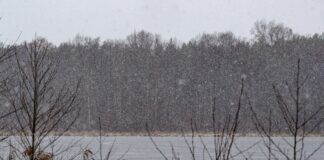 Sturmtief und Glätte – Winterwetter bestimmt das Wochenende Schnee und Frost prägen das Wochenende in Berlin und Brandenburg – vielerorts sind Straßen und Wege winterlich glatt.