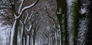 Glatteis bremst Pendler und sorgt für Unfälle in Brandenburg Eine Glatteiswarnung des Wetterdienstes gilt noch bis zum frühen Morgen in Brandenburg. (Symbolbild)