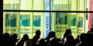 Bauernverband informiert über Grüne Woche Die diesjährige Grüne Woche beginnt am Freitag in Berlin. (Archivbild)
