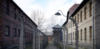 Mehr als eine Million Menschen wurden im Vernichtungslager Auschwitz-Birkenau von den Nazis ermordet. (Archivbild)