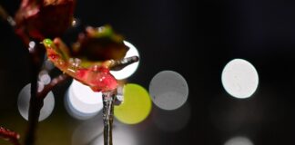 Unwetterwarnungen für Berlin und Brandenburg aufgehoben Alle Unwetterwarnungen für Berlin und Brandenburg sind aufgehoben.